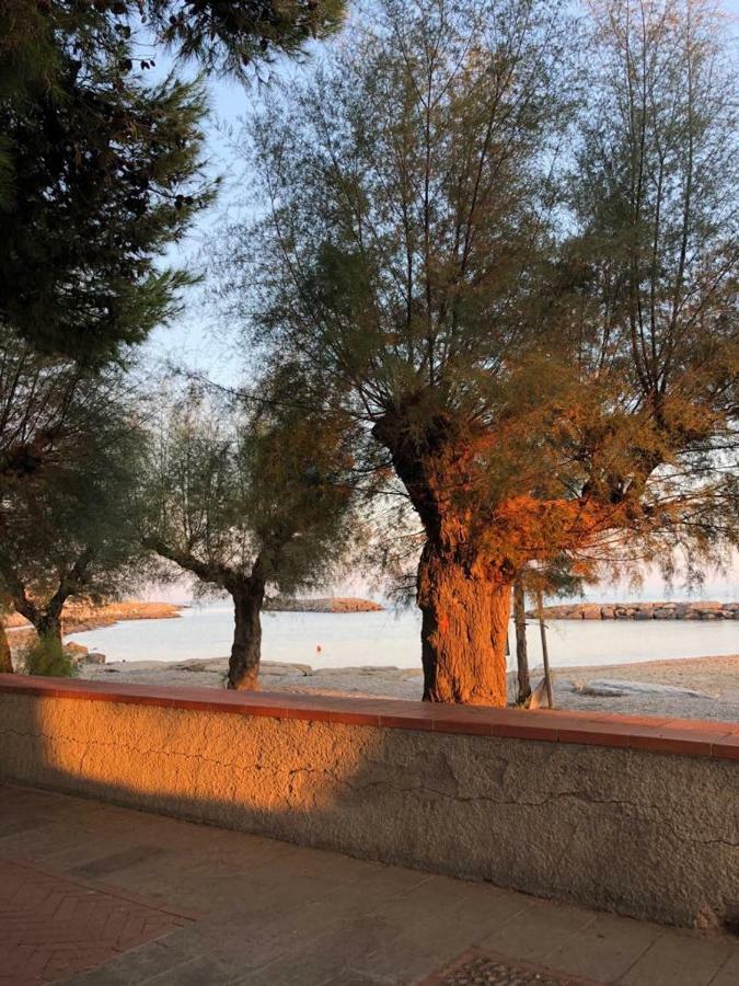 Frantoio Διαμέρισμα Riva Ligure Εξωτερικό φωτογραφία